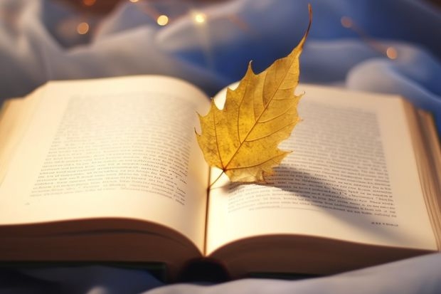 东北财经大学2025年高考在安徽投档分数线