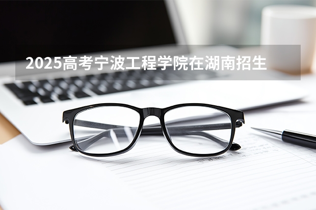 2025高考宁波工程学院在湖南招生批次 有哪些专业？