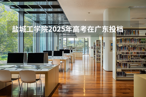 盐城工学院2025年高考在广东投档分数线