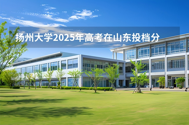 扬州大学2025年高考在山东投档分数线