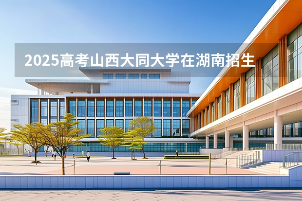 2025高考山西大同大学在湖南招生批次 有哪些专业？