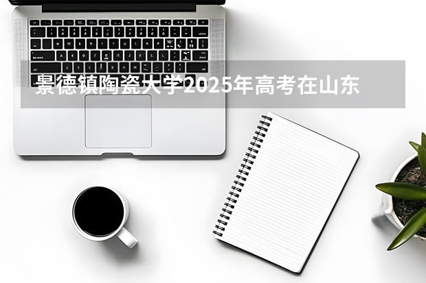 景德镇陶瓷大学2025年高考在山东投档分数线