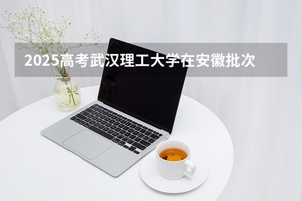 2025高考武汉理工大学在安徽批次线差是多少（2026参考）