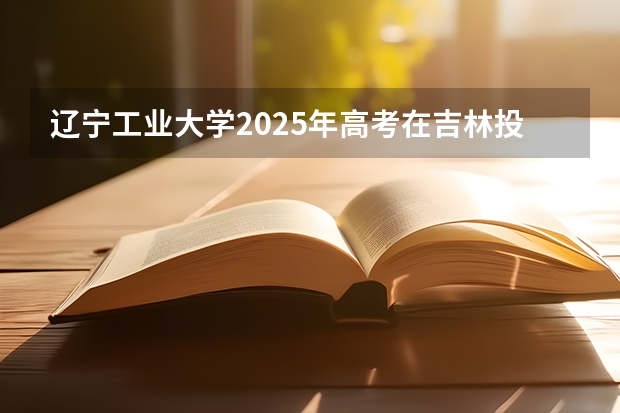 辽宁工业大学2025年高考在吉林投档分数线