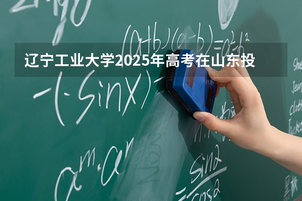 辽宁工业大学2025年高考在山东投档分数线