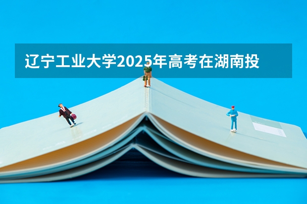 辽宁工业大学2025年高考在湖南投档分数线