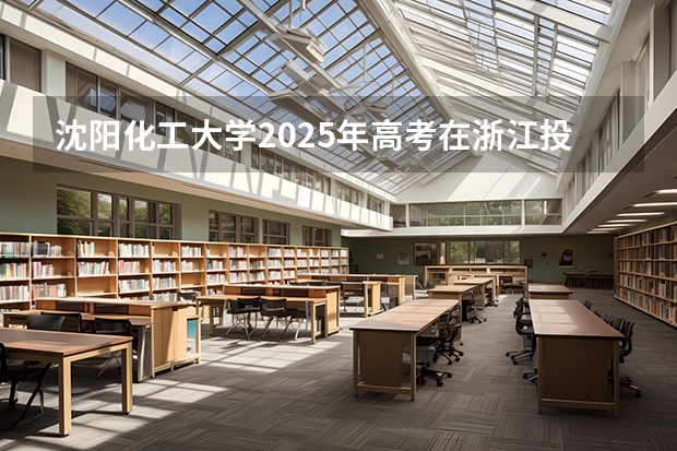 沈阳化工大学2025年高考在浙江投档分数线