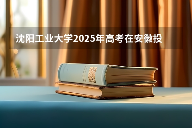 沈阳工业大学2025年高考在安徽投档分数线