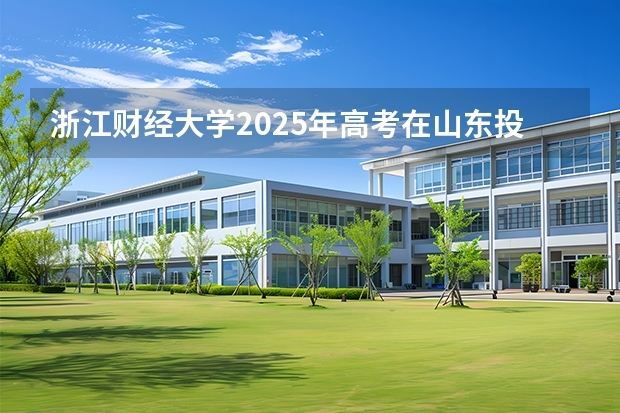 浙江财经大学2025年高考在山东投档分数线