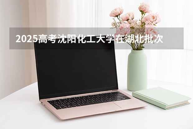 2025高考沈阳化工大学在湖北批次线差是多少（2026参考）