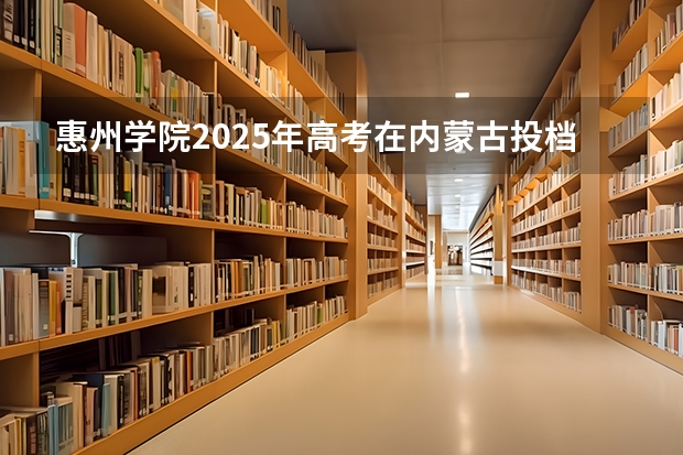 惠州学院2025年高考在内蒙古投档分数线