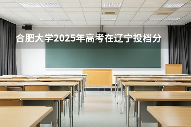 合肥大学2025年高考在辽宁投档分数线