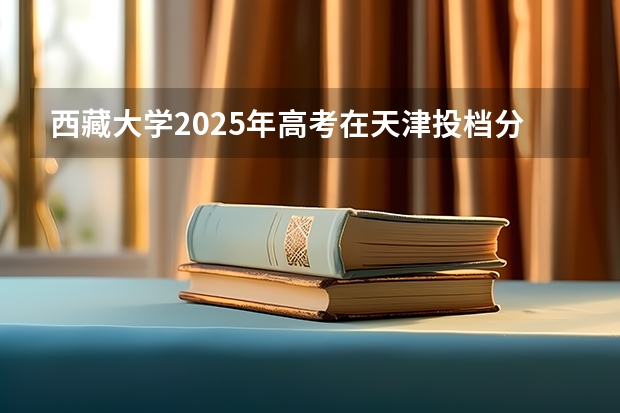 西藏大学2025年高考在天津投档分数线