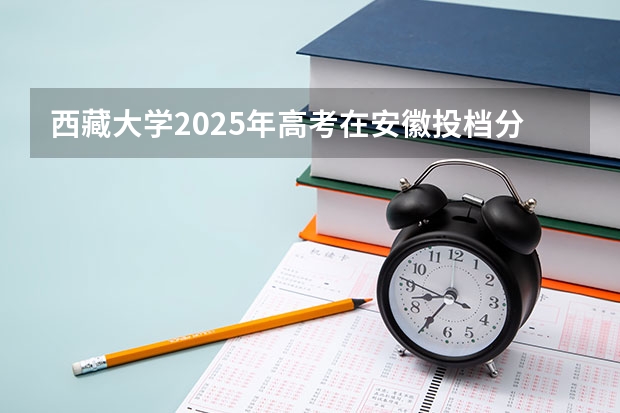 西藏大学2025年高考在安徽投档分数线