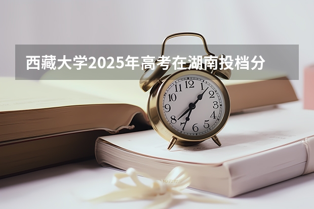 西藏大学2025年高考在湖南投档分数线