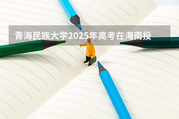 青海民族大学2025年高考在海南投档分数线
