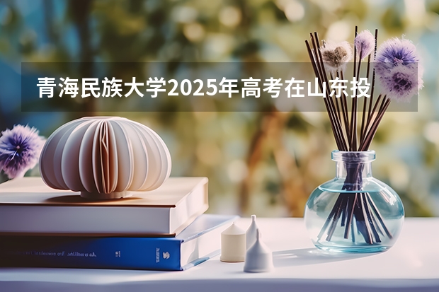 青海民族大学2025年高考在山东投档分数线