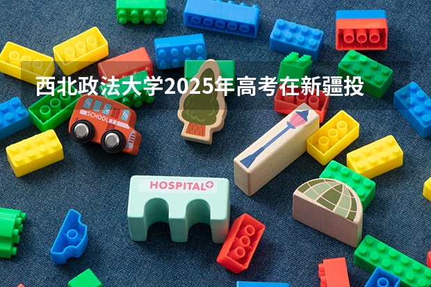 西北政法大学2025年高考在新疆投档分数线