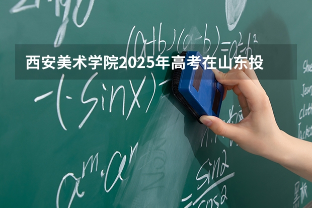 西安美术学院2025年高考在山东投档分数线