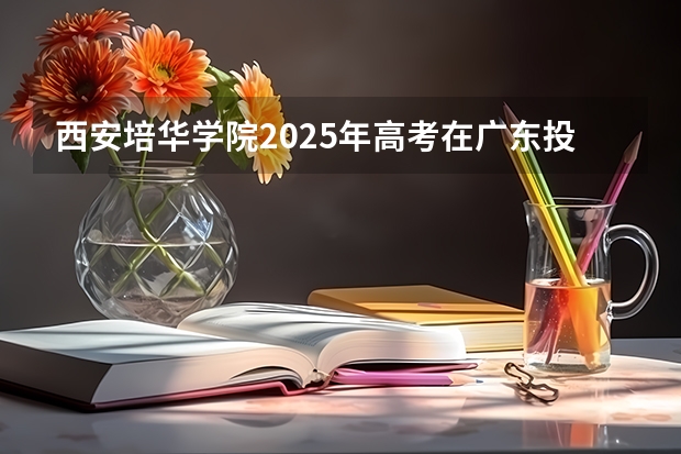 西安培华学院2025年高考在广东投档分数线