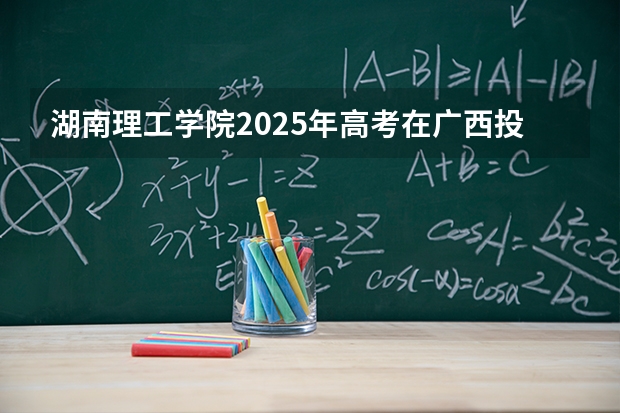 湖南理工学院2025年高考在广西投档分数线
