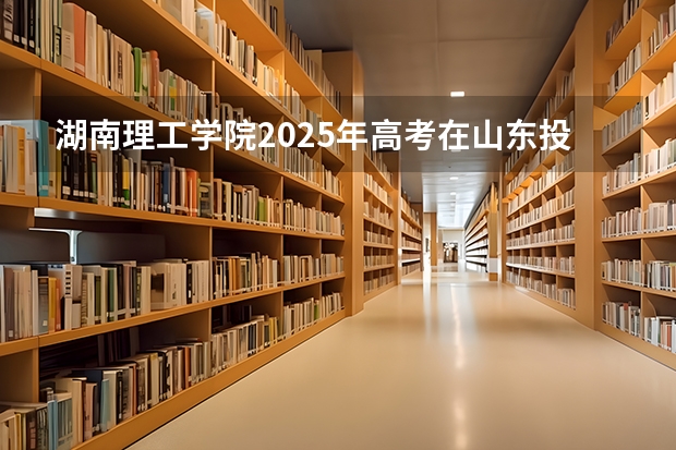 湖南理工学院2025年高考在山东投档分数线