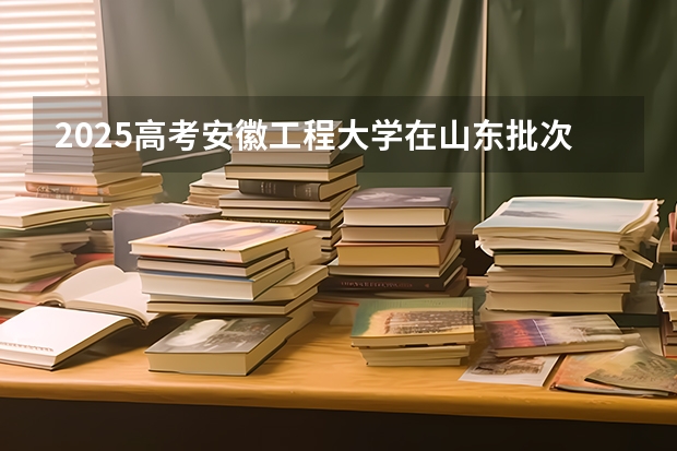 2025高考安徽工程大学在山东批次线差是多少（2026参考）