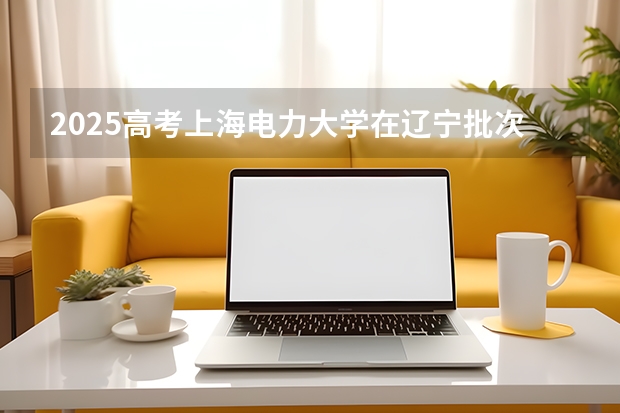 2025高考上海电力大学在辽宁批次线差是多少（2026参考）
