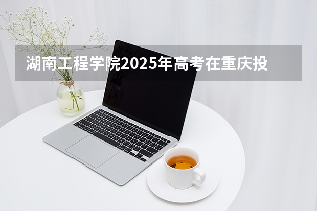 湖南工程学院2025年高考在重庆投档分数线