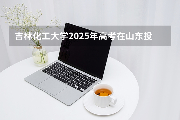 吉林化工大学2025年高考在山东投档分数线