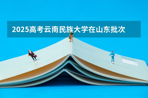 2025高考云南民族大学在山东批次线差是多少（2026参考）