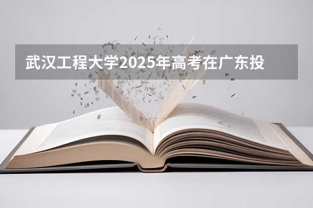 武汉工程大学2025年高考在广东投档分数线