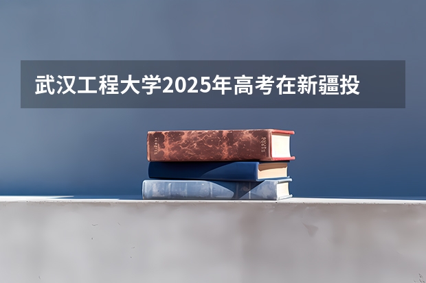 武汉工程大学2025年高考在新疆投档分数线