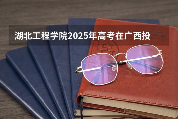 湖北工程学院2025年高考在广西投档分数线