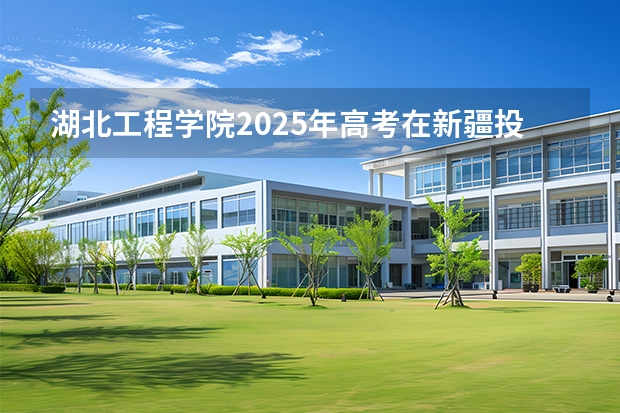 湖北工程学院2025年高考在新疆投档分数线