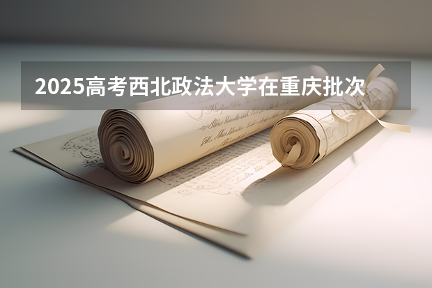 2025高考西北政法大学在重庆批次线差是多少（2026参考）