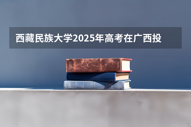 西藏民族大学2025年高考在广西投档分数线
