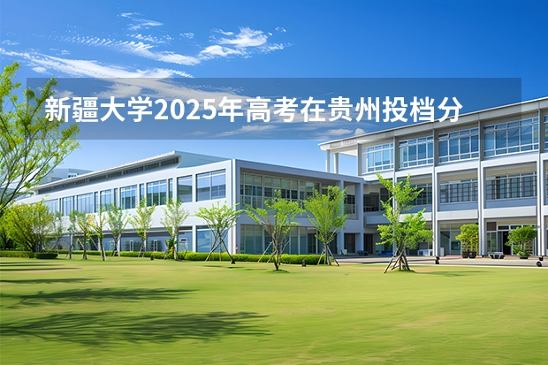 新疆大学2025年高考在贵州投档分数线