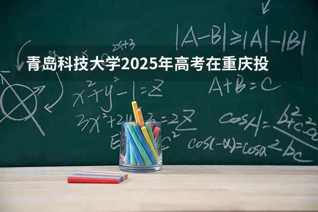 青岛科技大学2025年高考在重庆投档分数线