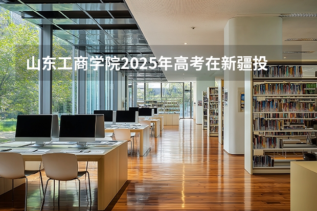 山东工商学院2025年高考在新疆投档分数线