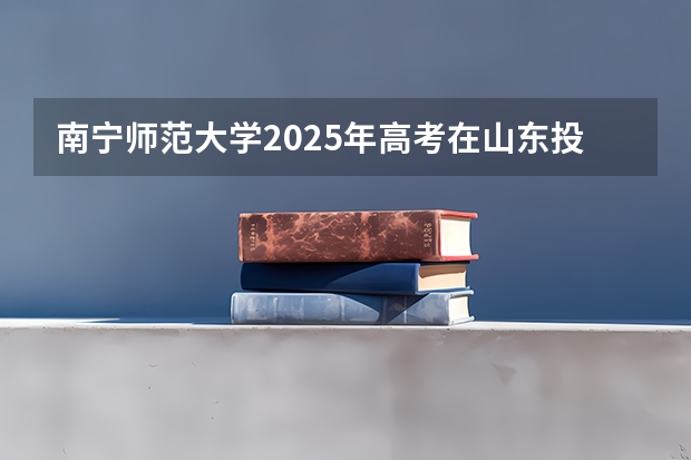 南宁师范大学2025年高考在山东投档分数线