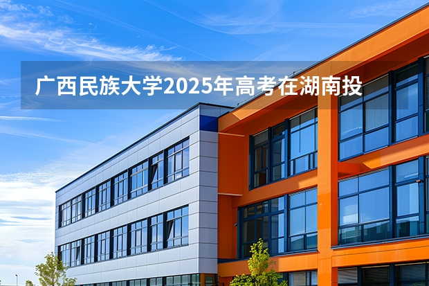 广西民族大学2025年高考在湖南投档分数线