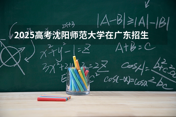 2025高考沈阳师范大学在广东招生批次 有哪些专业？（2026参考）