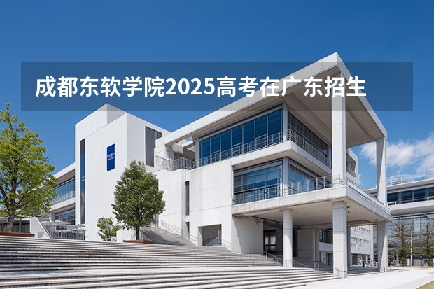 成都东软学院2025高考在广东招生计划介绍