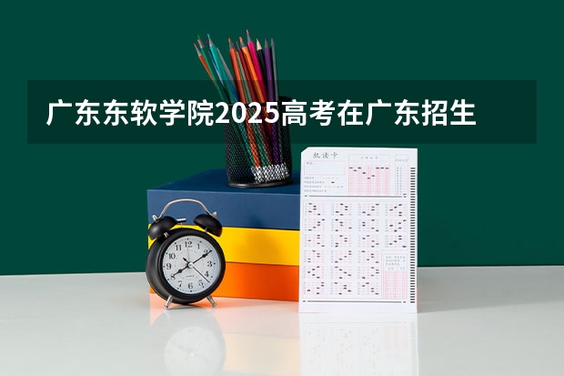 广东东软学院2025高考在广东招生计划介绍