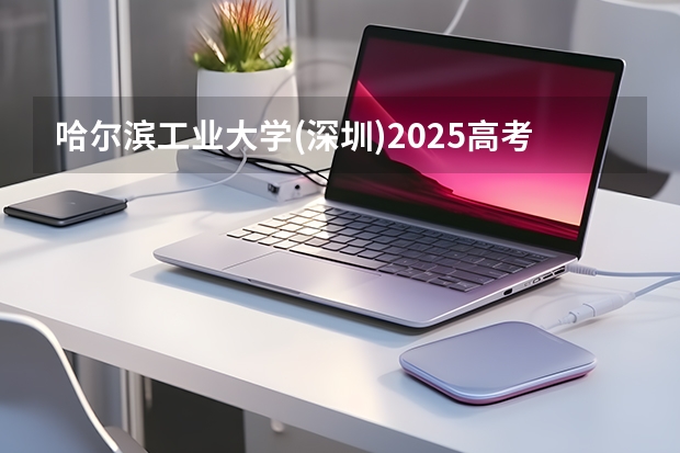 哈尔滨工业大学(深圳)2025高考在广东招生计划介绍